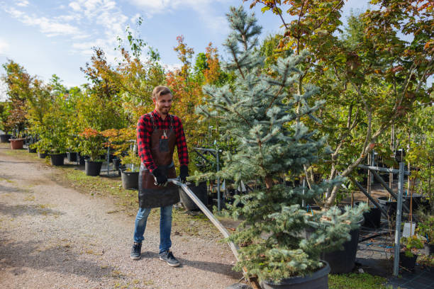Best Mulching Services  in USA